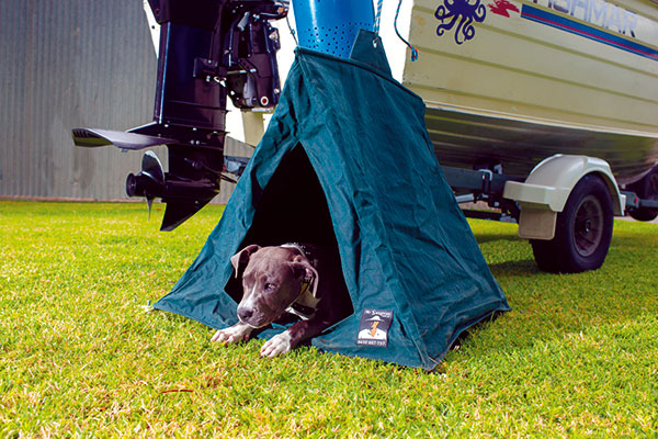 Палатка для собак