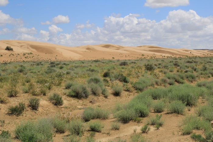 Автопутешествие в Казахстан. пески Сенека